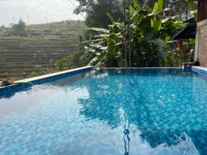 a swimming pool with blue water in front of a house at House By The Stream in Lũng Tiềm