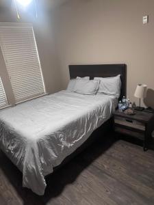 Galeriebild der Unterkunft The Hangout ! in Addison + 2 Fotos