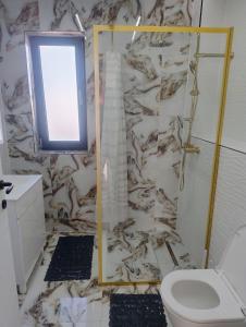 a bathroom with a shower and a toilet and a window at Patrick in Braşov