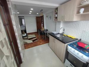 eine Küche mit Spüle und Arbeitsplatte in der Unterkunft La culta elegante in Sucre