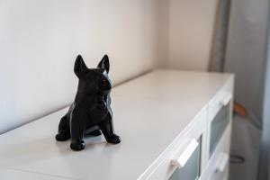 Domácí mazlíčci ubytovaní s hosty v ubytování Golden Dog Suite