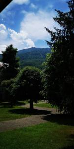 a tree in the middle of a field with trees at Chez Soso in Luchon