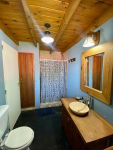 a bathroom with a toilet and a sink and a shower at Casitas El Lago in Carhué +45 photos