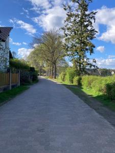 an empty road with a tree on the side at Haus Evelyn in Rheinsberg