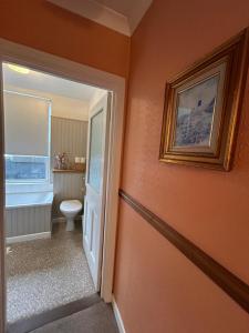 a bathroom with a toilet and a picture on the wall at Bonjour Guest house in Alderney +18 photos
