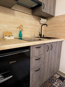 a kitchen with a sink and a black dishwasher at Frasolis Studio Apartman in Szeged