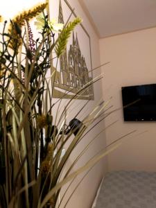 a vase with a plant in a room with a tv at Frasolis Studio Apartman in Szeged