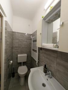 a bathroom with a sink and a toilet and a mirror at Frasolis Studio Apartman in Szeged +9 photos