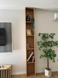 Knihovna v apartmánu