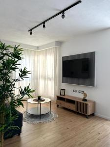 TV a/nebo společenská místnost v ubytování Apartmani Palada