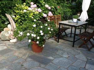 Zahrada ubytování Guesthouse Kleopatra's