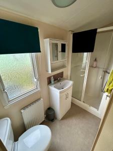 a bathroom with a toilet and a sink and a shower at 28 The Beeches in Wigton