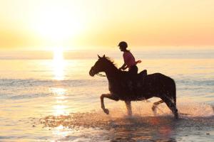een persoon op een paard op het strand bij Piscine intérieure privée chauffée spa toute lannee disponible minimum 2 nuits in Ploudaniel