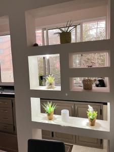 a kitchen with three windows and plants on a counter at Centre D'estivage Imi Ouaddar in Agadir nʼ Aït Sa