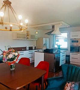 Kuchyň nebo kuchyňský kout v ubytování ViLLA IVET + 21 fotografií