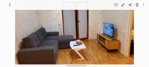 Una sala de estar con un sofá y un televisor. en George Apartament Central cu gradina proprie, en Sinaia