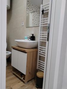 Vannituba majutusasutuses Apartman Park
