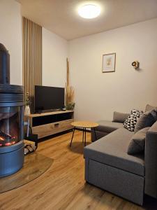 Μια τηλεόραση ή/και κέντρο ψυχαγωγίας στο Apartment Wohnung Mönichkirchen +13 φωτογραφίες
