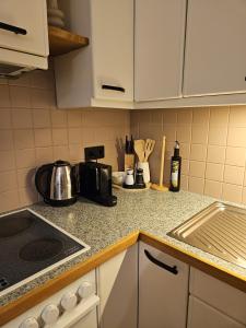 Kuhinja ili čajna kuhinja u objektu Apartment Wohnung Mönichkirchen