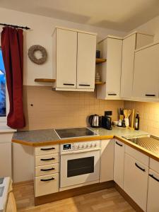 Kuhinja ili čajna kuhinja u objektu Apartment Wohnung Mönichkirchen
