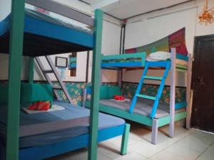 Narivoodi või narivoodid majutusasutuse el nido hostel sun valley toas