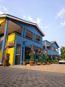 a blue and yellow building with potted plants at Phaneros Apartments in Trofwi