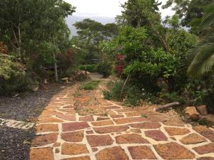 a stone path in a garden with trees at Casa campo Casa 4 in Barichara +16 photos