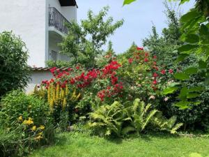 a garden with red flowers and plants in front of a building at WatzMannOG in Augsburg