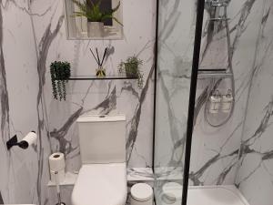 a bathroom with a shower and a toilet in it at Central Ripon - Sleeps 3 - Garden - Pet Friendly in Ripon +33 photos