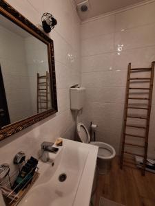 Bilik mandi di Apartman Duga