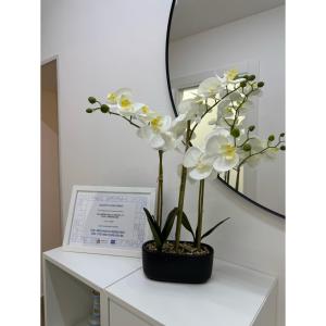 a vase of white flowers on a white desk at Salento Apartment in Brindisi