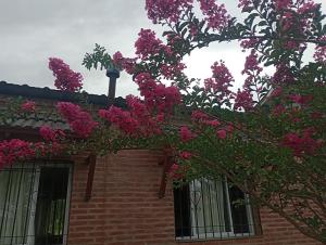 Gallery image of Posada Entre Dos in Mina Clavero