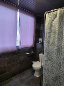a bathroom with a toilet and a shower curtain at Marques House in Machico