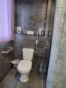 a bathroom with a toilet and a shower at Marques House in Machico