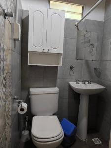 a small bathroom with a toilet and a sink at Aimara Casas de alquiler in Mina Clavero