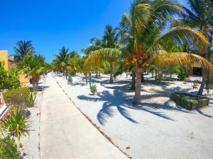 a beach with palm trees and a sidewalk at Oceanfront Villa with Big Pools in Celestún