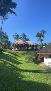 Zahrada ubytování Hotel Maribu Caribe