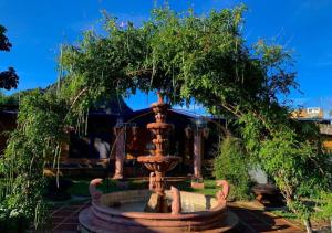 a fountain in a yard with a tree above it at Los Cruxes in Tepoztlán