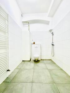 ウィーンにあるComfy Rooms in a Shared Apt, 8Min to Rathausplatzのトイレとシャワー付きのバスルーム