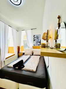 een slaapkamer met een groot bed met een zwart bedframe bij Comfy Rooms in a Shared Apt, 8Min to Rathausplatz in Wenen
