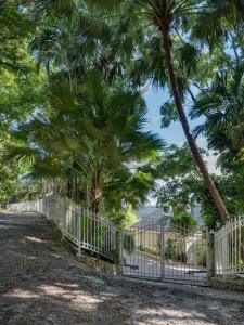 Φωτογραφία από το άλμπουμ του Villa Jamille - Stunningly Designed Villa with Pool, Sauna, & Ocean Views σε Port Antonio