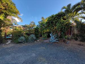 a yard with a lot of plants and trees at Location Touristique Des Tortues in Deshaies