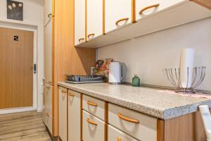 Kuchyň nebo kuchyňský kout v ubytování Convenient Shared Apartment - near Danube & Millenium Tower
