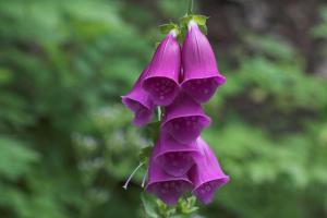 Galeriebild der Unterkunft Egenes Camping in Flekkefjord
