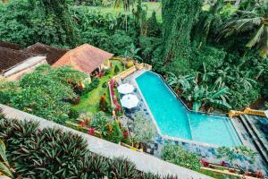 an overhead view of a swimming pool in a garden at Sri Aksata Ubud Resort in Ubud