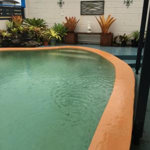 a swimming pool in a room with potted plants at Black Marlin Motel in Innisfail