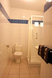 a bathroom with a toilet and a shower and a sink at Filippus Vakantiehoeve in Maldegem