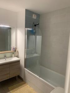 a bathroom with a shower and a sink at Auberge Chambre La Bienveillance in Lormont