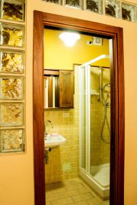 San Lorenzo in CampoAl Castello di Montalfoglio的带淋浴、水槽和淋浴的浴室