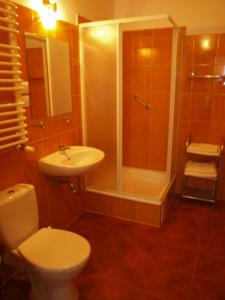 a bathroom with a toilet and a shower and a sink at Apartamenty Willa Park in Żagań